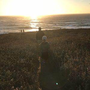 Meet your Posher, Zoan